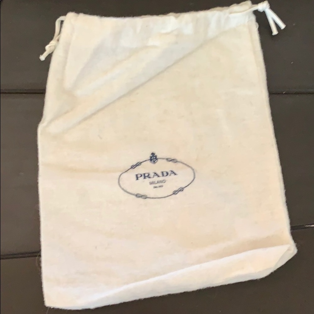 Prada jewelry or wallet bag.